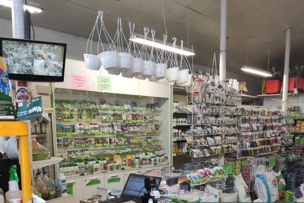 SEZON - семена, саженцы, средства защиты растений в Одессе